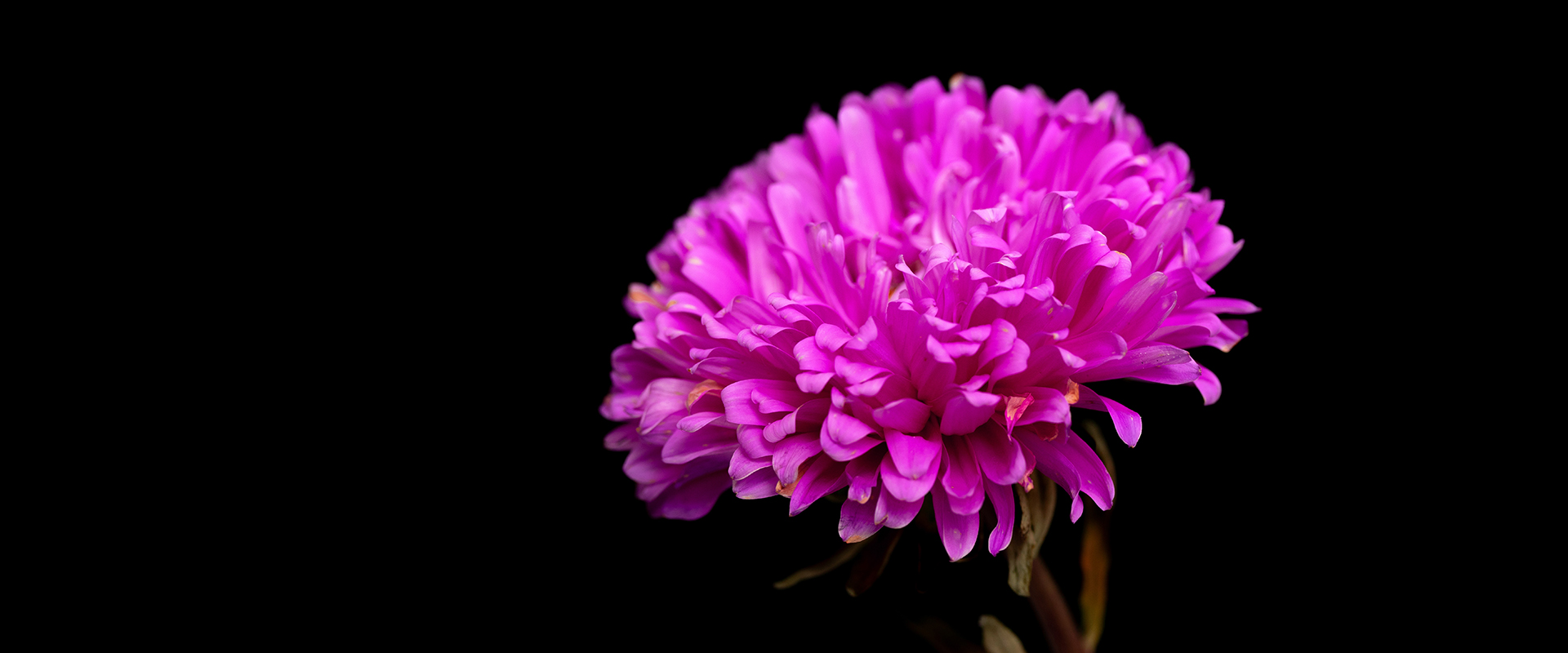 Komponist und Musiktheoretiker